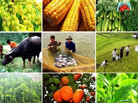 Hơn 100.000 tỷ đồng dành cho đầu tư vào nông nghiệp công nghệ cao