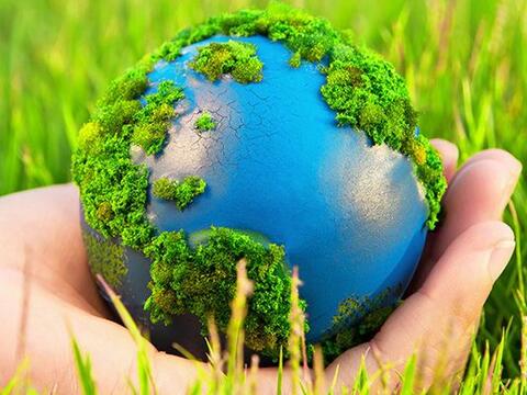 Kinh nghiệm quốc tế về áp dụng chính sách thuế bảo vệ môi trường