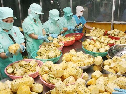 Thúc đẩy xuất khẩu hàng nông sản của Việt Nam sang thị trường Nga