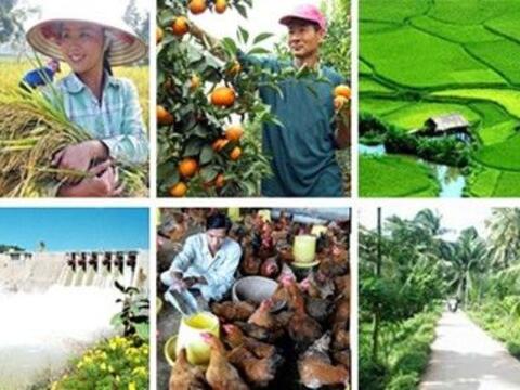 Gỡ vướng triển khai các dự án ngành nông nghiệp