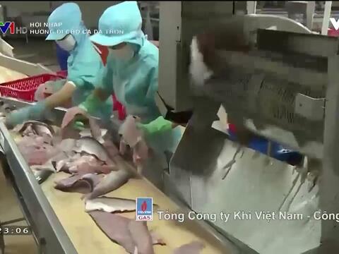 Rào cản trên đường đi của cá da trơn