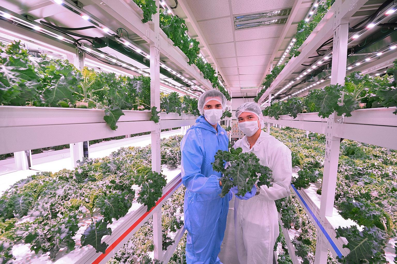 Ảnh minh họa. Nguồn: internet.